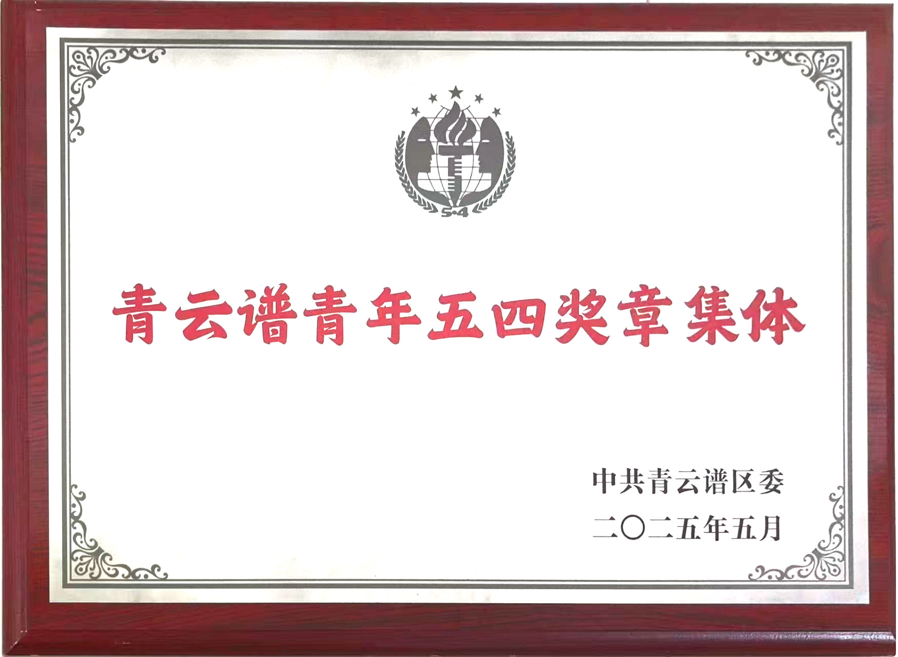 江西分公司获第八届青云谱青年五四奖章集体+乐力菲.jpg